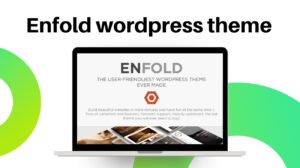 enfold wordpress theme